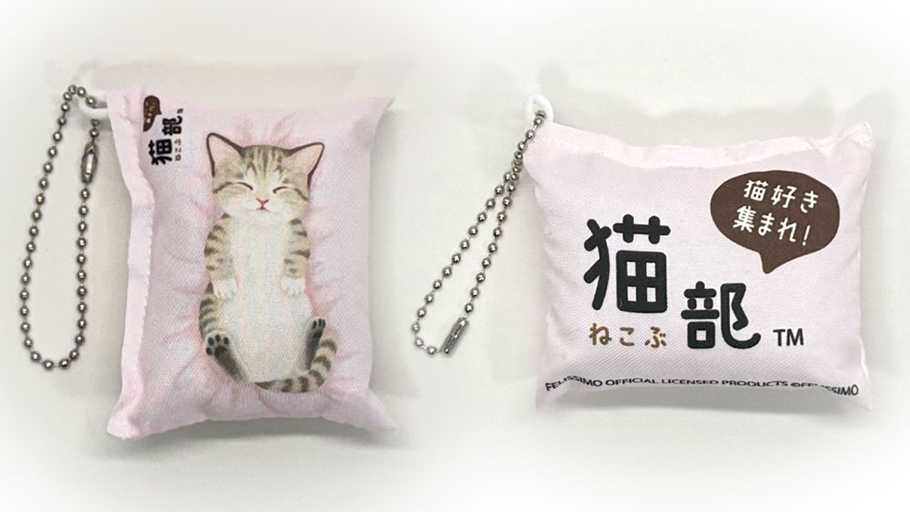 子猫が眠るへそ天