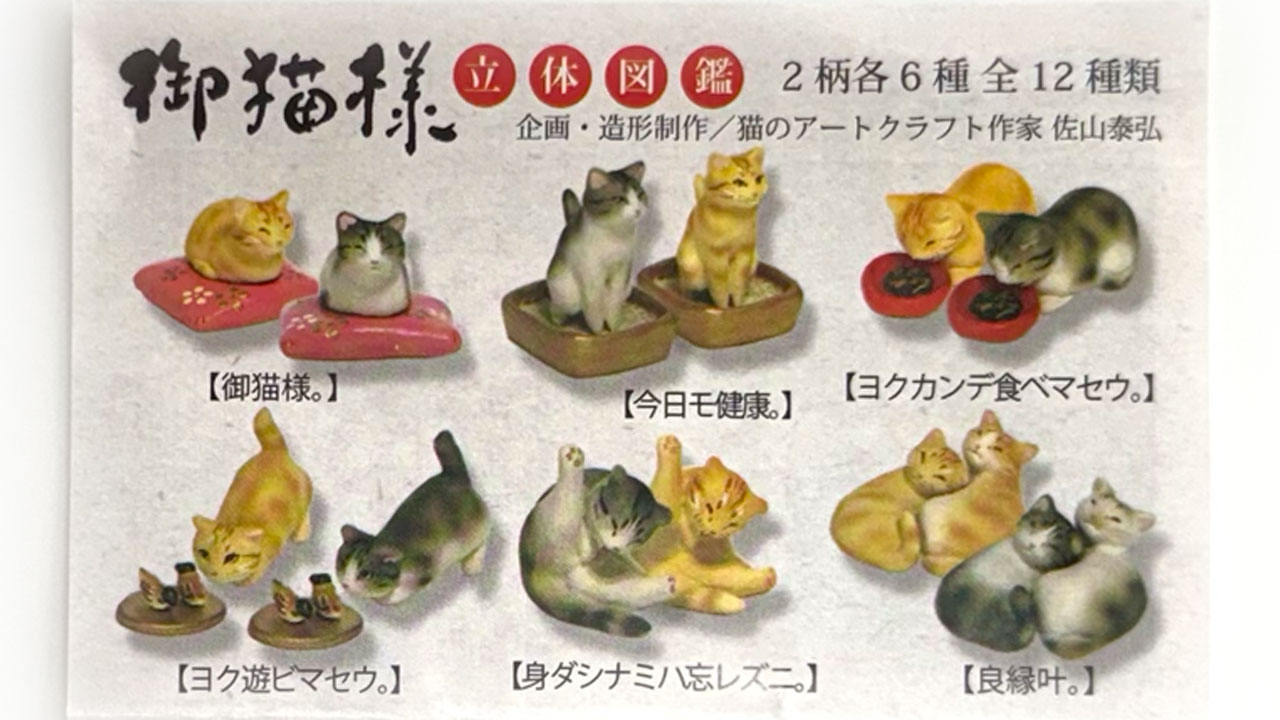 [お猫様立体図鑑]