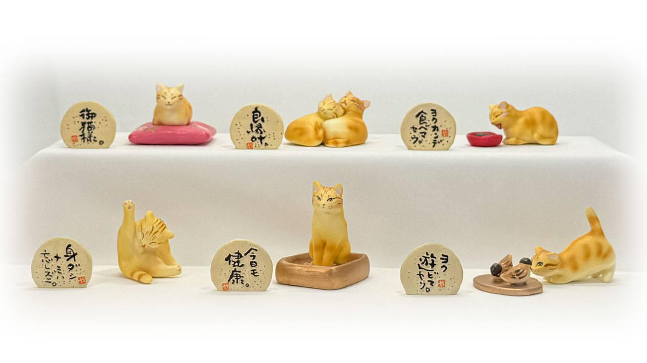 [茶トラのお猫様]